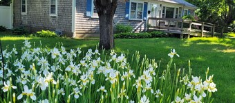 Dream vacation in our 4-Bedroom newly-renovated house 2.5 miles from the  ocean.