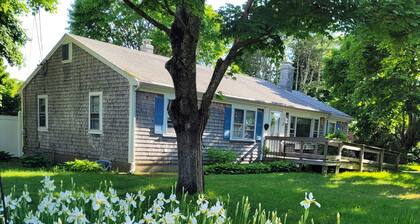 Dream vacation in our 4-Bedroom newly-renovated house 2.5 miles from the ocean.