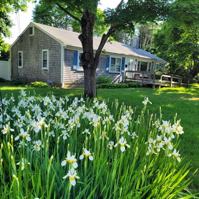 Dream vacation in our 4-Bedroom newly-renovated house 2.5 miles from the  ocean.