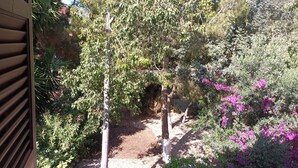 A garden with various trees and shrubs, including some with purple flowers. - Luxury Maisonette 250m from the beach. (Kato Paphos)