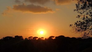 Un coucher de soleil sur un champ, avec des arbres se découpant en silhouette sur le ciel.