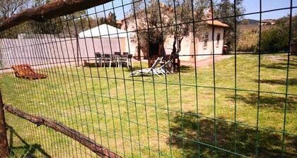 Dependance surrounded by greenery