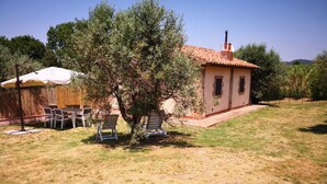 Une maison avec un toit en tuiles, un petit jardin avec un arbre et du mobilier d’extérieur.
