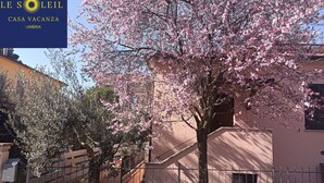 A building with pink flowering trees in front. - A home as comfortable as yours, but with the novelty you've been looking for!  (Foligno)