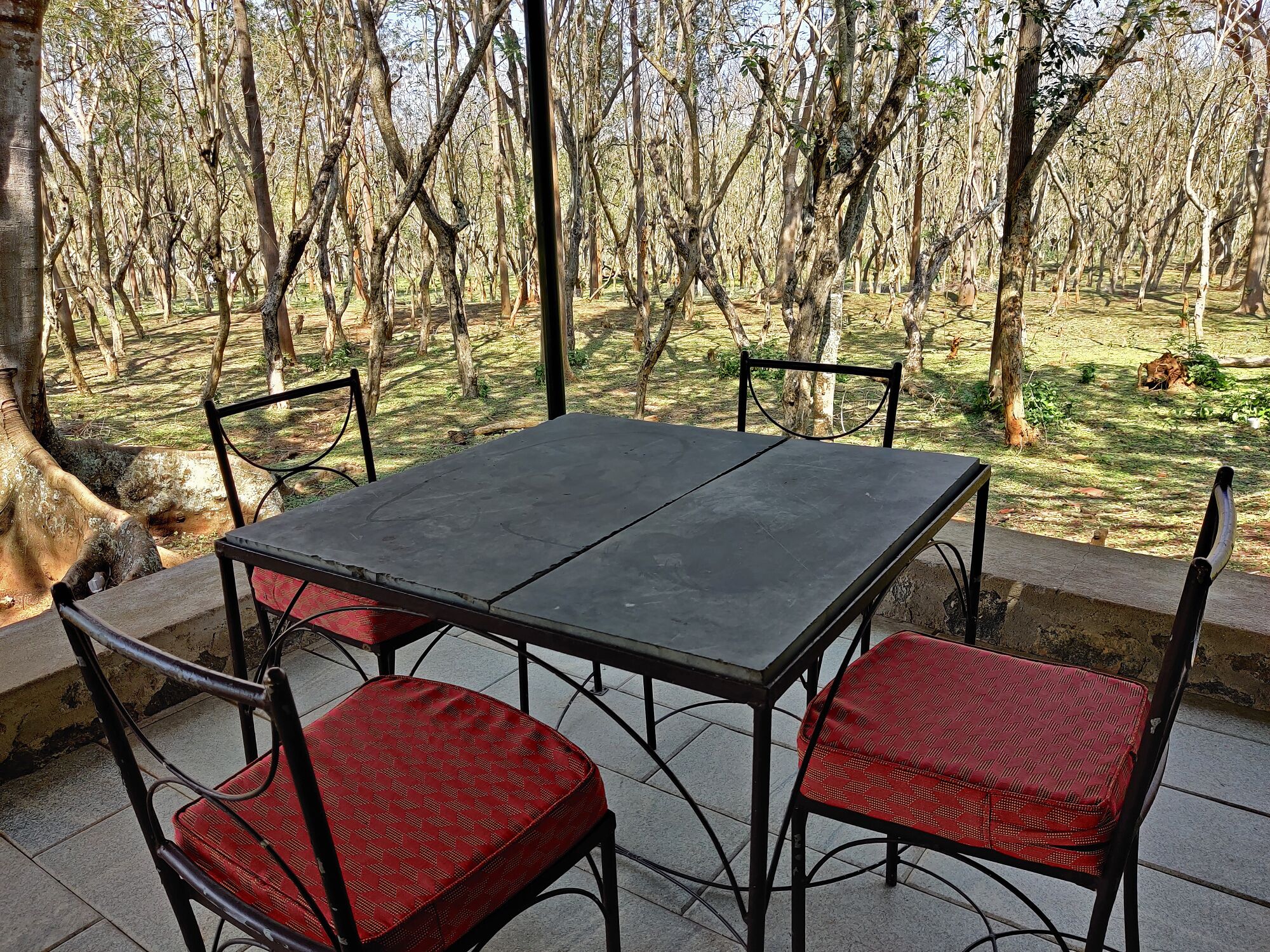 An outdoor table and chairs set on a patio with a view of a forested area.