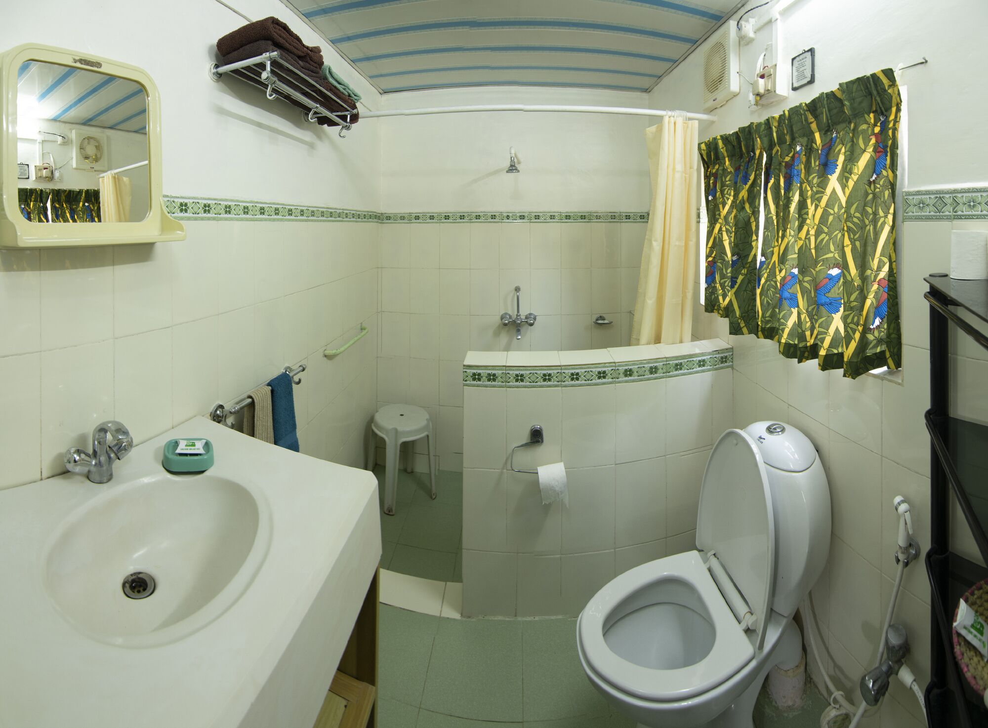 A bathroom with a sink, toilet, and shower. There is a mirror, towel rack, and a shower curtain with a bird pattern.