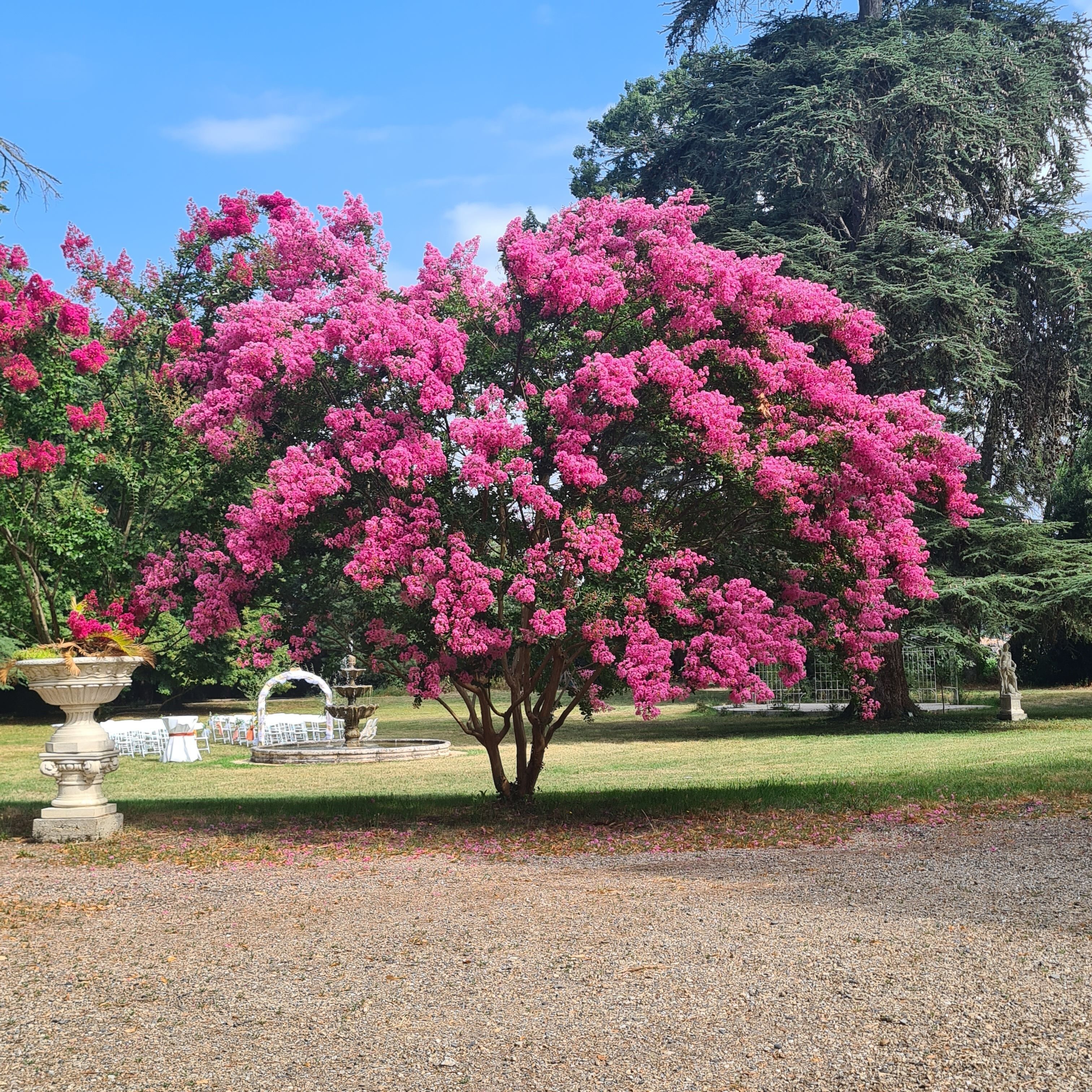 Vue depuis l’hébergement