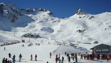 Sneeuw- en skisporten