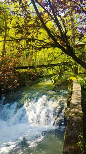 Une cascade dans une zone boisée, avec un pont de pierre.