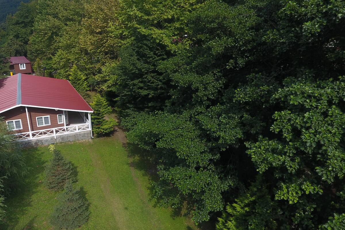 Een huis met een rood dak, omringd door weelderige groene bomen en een heldere lucht.