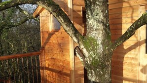 Eine Holzhütte mit Balkon und einem großen Baum davor.