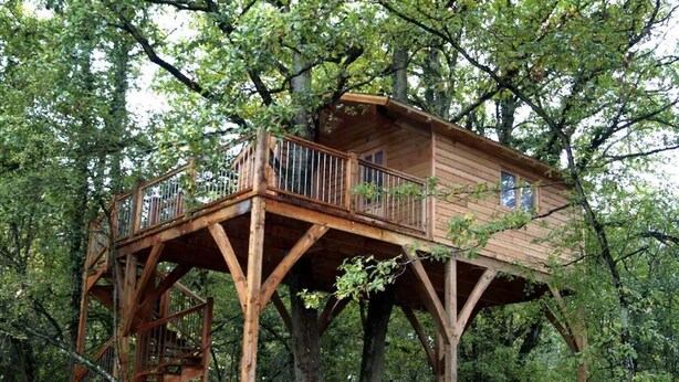 Ein hölzernes Baumhaus mit Balkon und Treppe, umgeben von dichtem Grün.