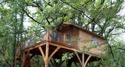 Cabane Mar'ienne in Le Thoureil, Maine et Loire