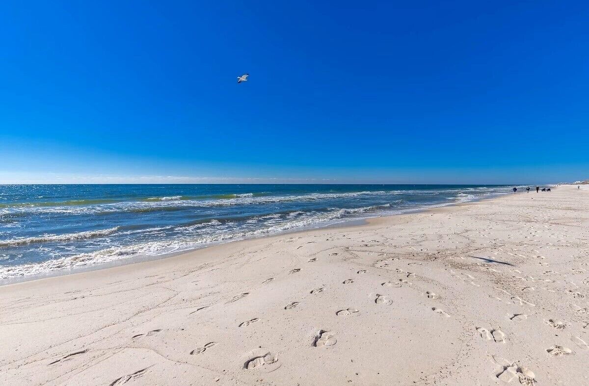 Playa en los alrededores 