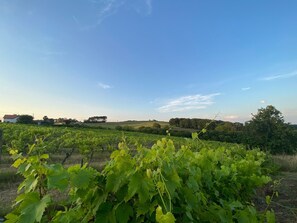 Property grounds - Exclusive use Panoramic  Views Rural with Private Swimming Pool (Port-Sainte-Foy-et-Ponchapt)