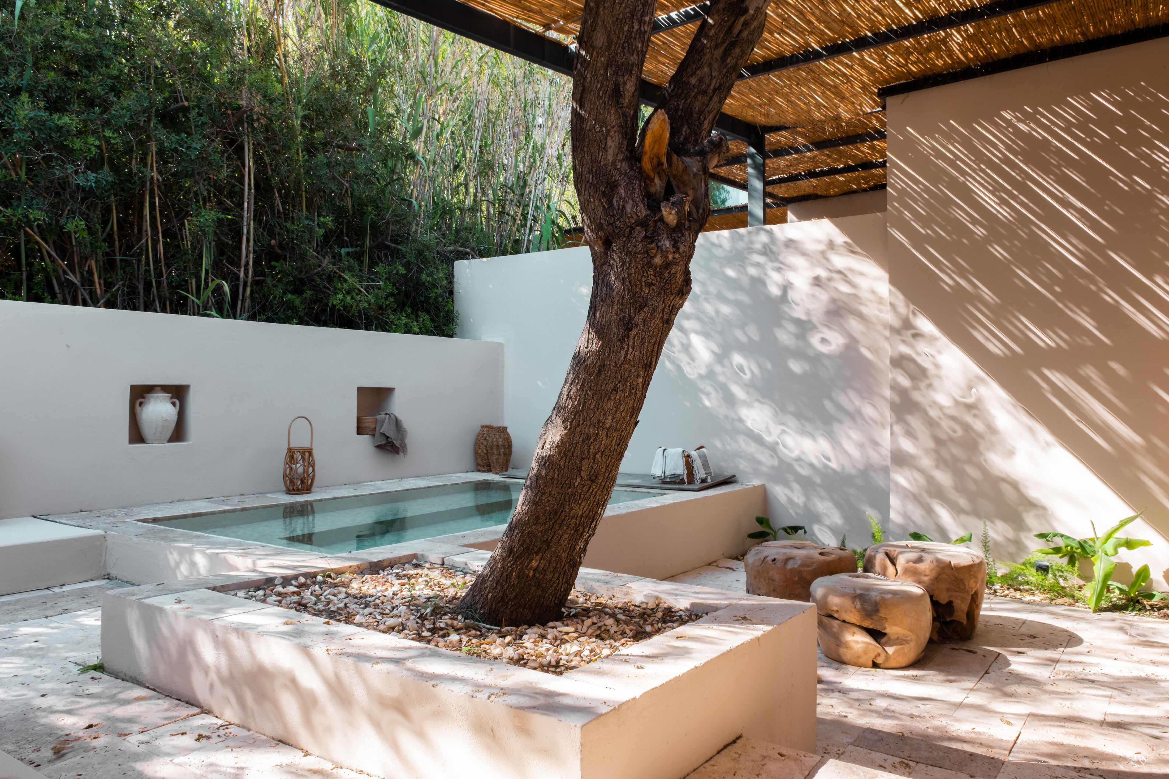 A modern outdoor area with a tree, a pool, and stone seating.