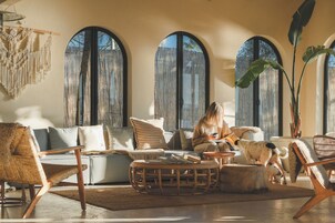 Una sala de estar acogedora con sofá, sillas y una mesa de centro. Se observan ventanas grandes con cortinas, y una planta.
