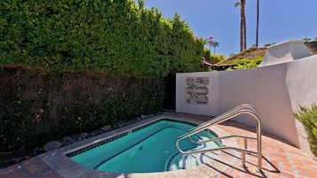 A swimming pool with a metal ladder, surrounded by a hedge and a wall with warning signs.