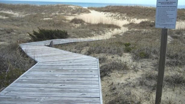 A wooden boardwalk leading to a beach with a sign indicating it's a nature reserve. - Just Beachy!  Short walk to the beach, shops and ferry! (Hatteras)