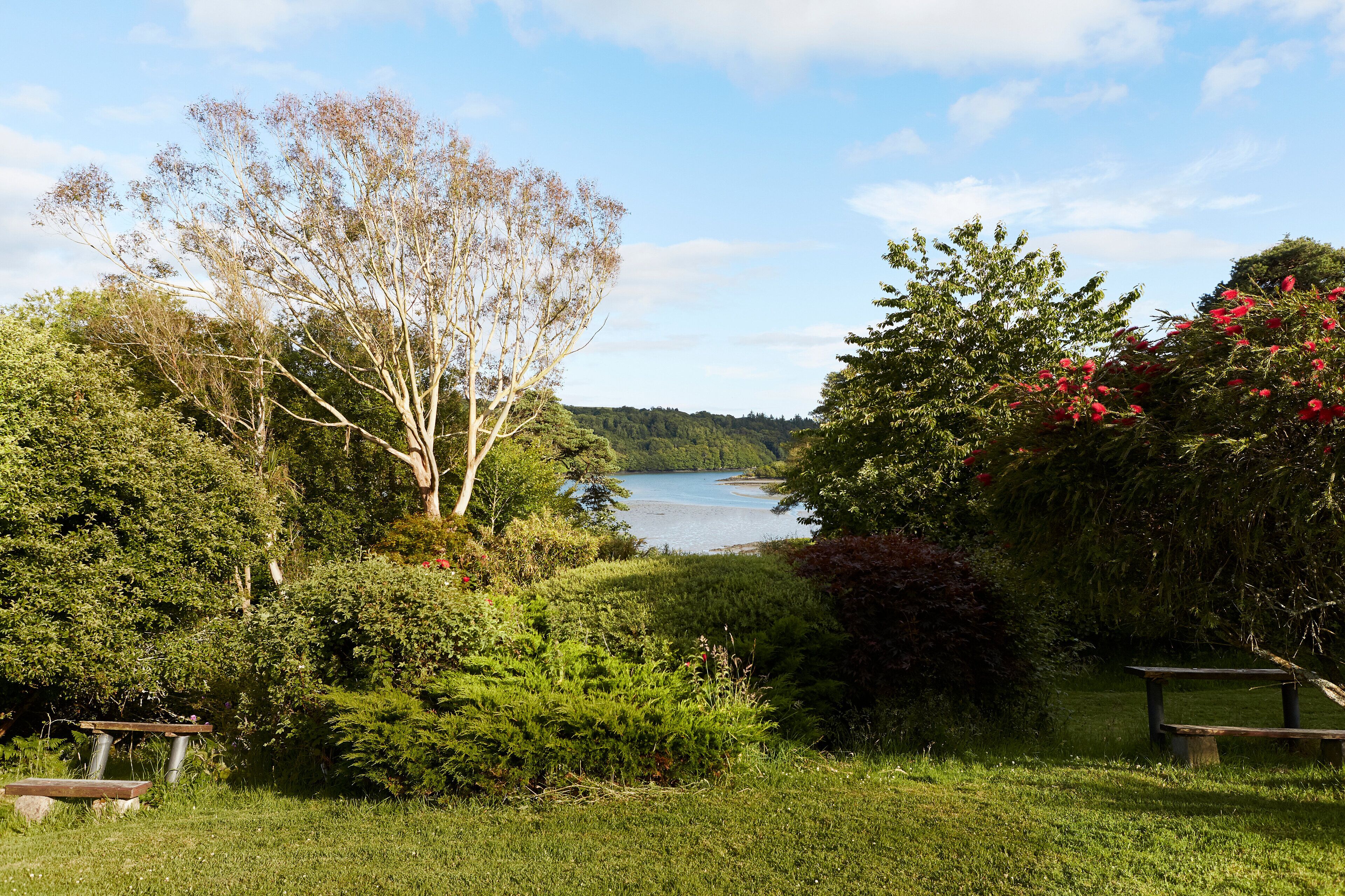 A park with a lake, benches, and lush greenery.