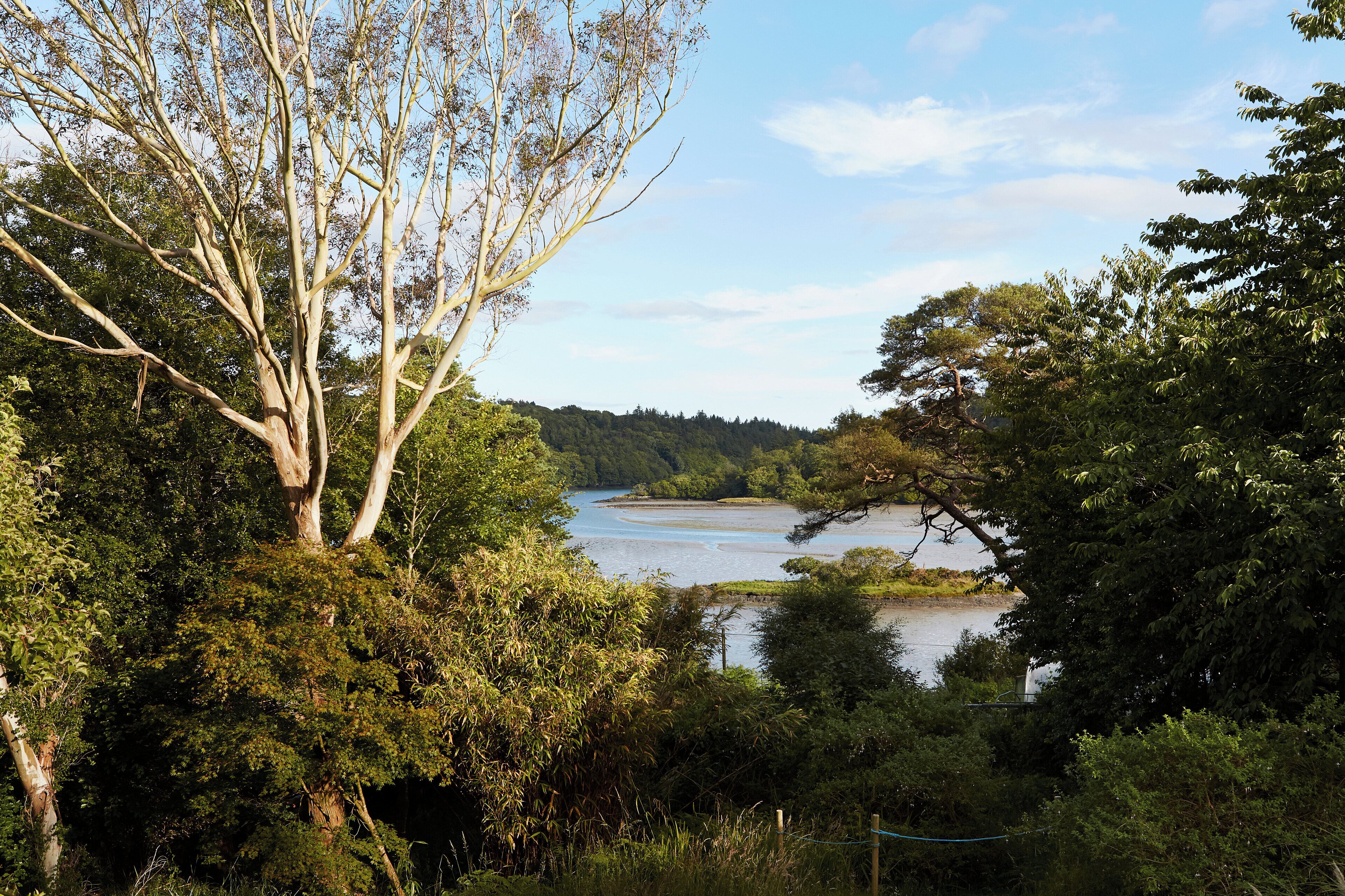 Un paysage naturel avec une rivière, une végétation luxuriante et un ciel dégagé.