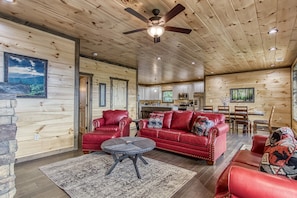 Flat-screen TV, fireplace, video games