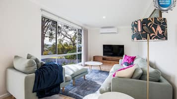 Smart TV, books, stereo