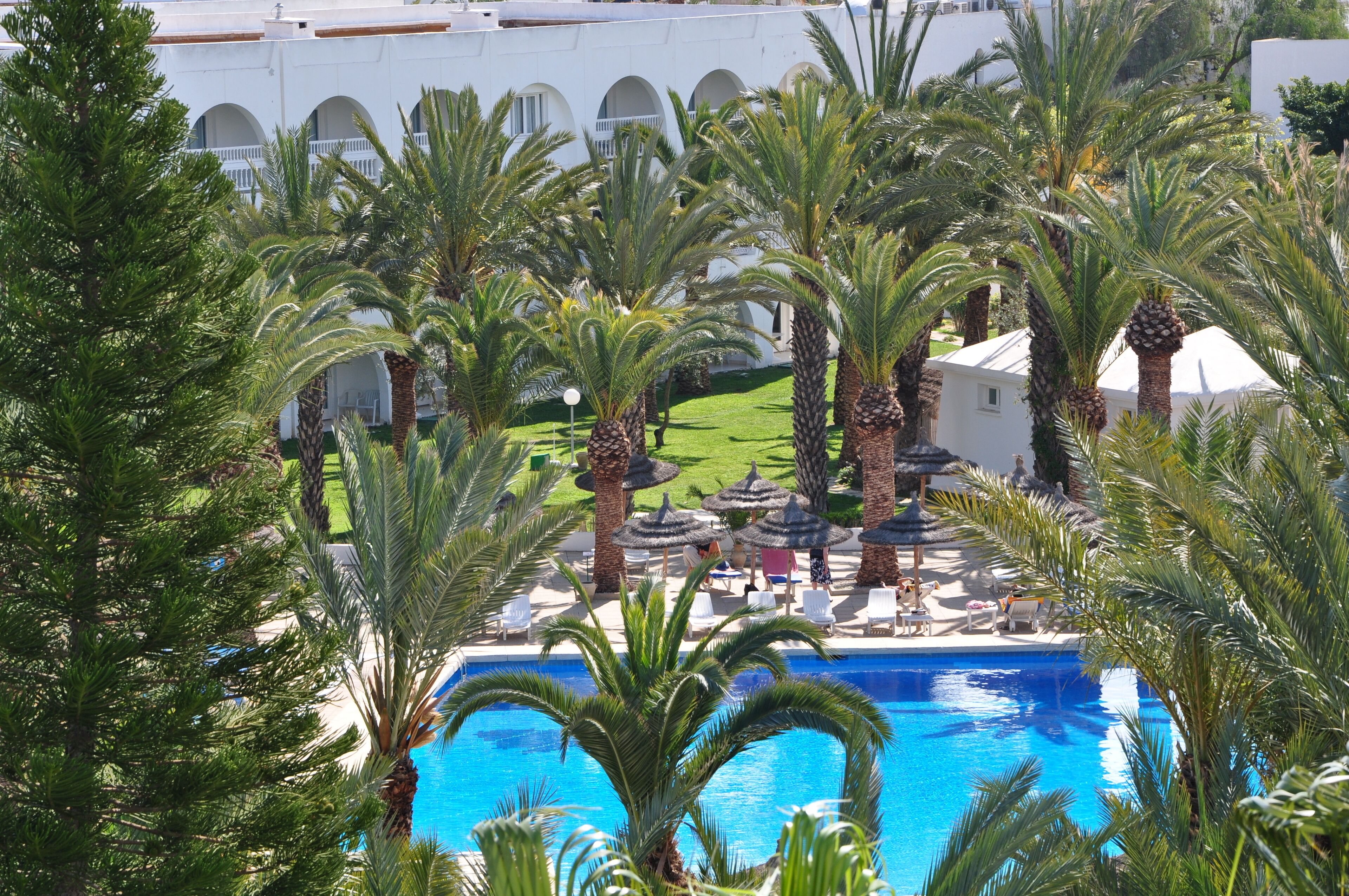 A pool surrounded by palm trees and lounge chairs, with a building in the background.