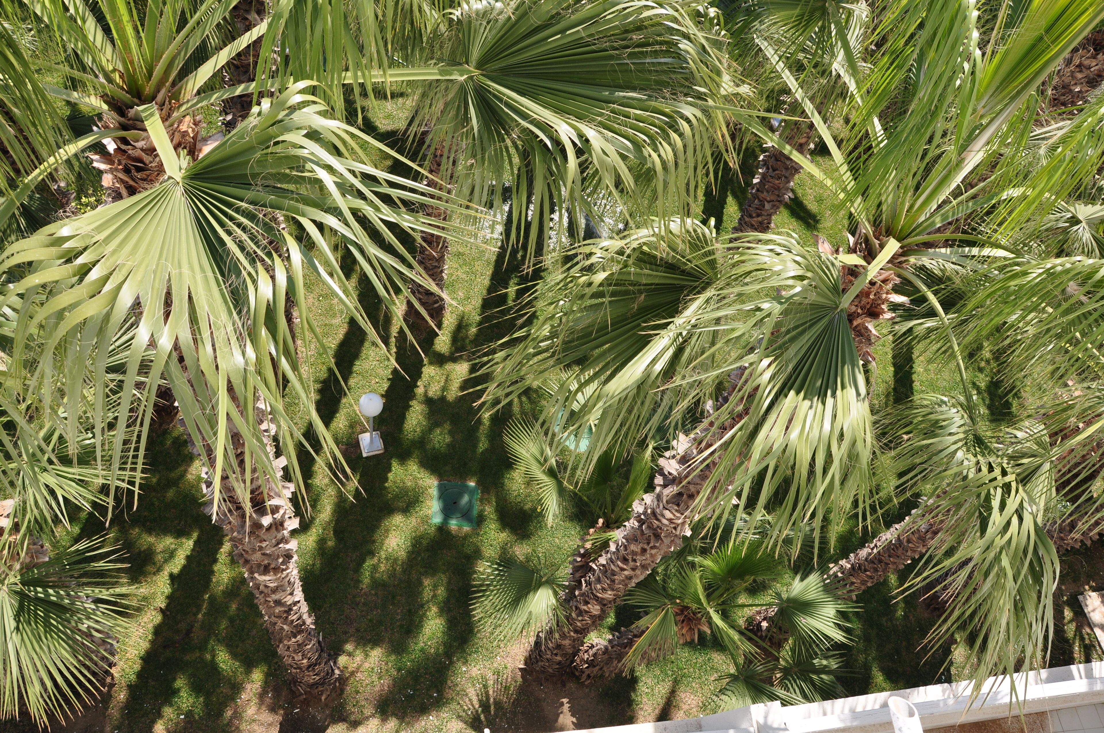 Photo - Kanta Resort and Spa