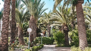 A pathway lined with palm trees and a stone pavement, leading through a landscaped garden area. - Hotel Kanta Resort & Spa (Port El Kantaoui)