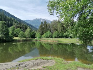 Parco della struttura