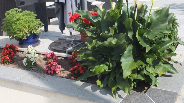 A patio area with outdoor furniture, a potted plant, and a variety of flowers.
