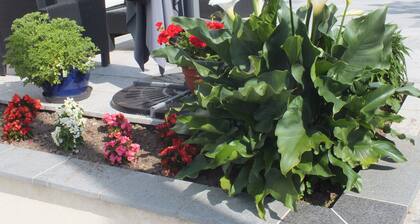 Maison Calme, au Cœur D'une Campagne Verdoyante