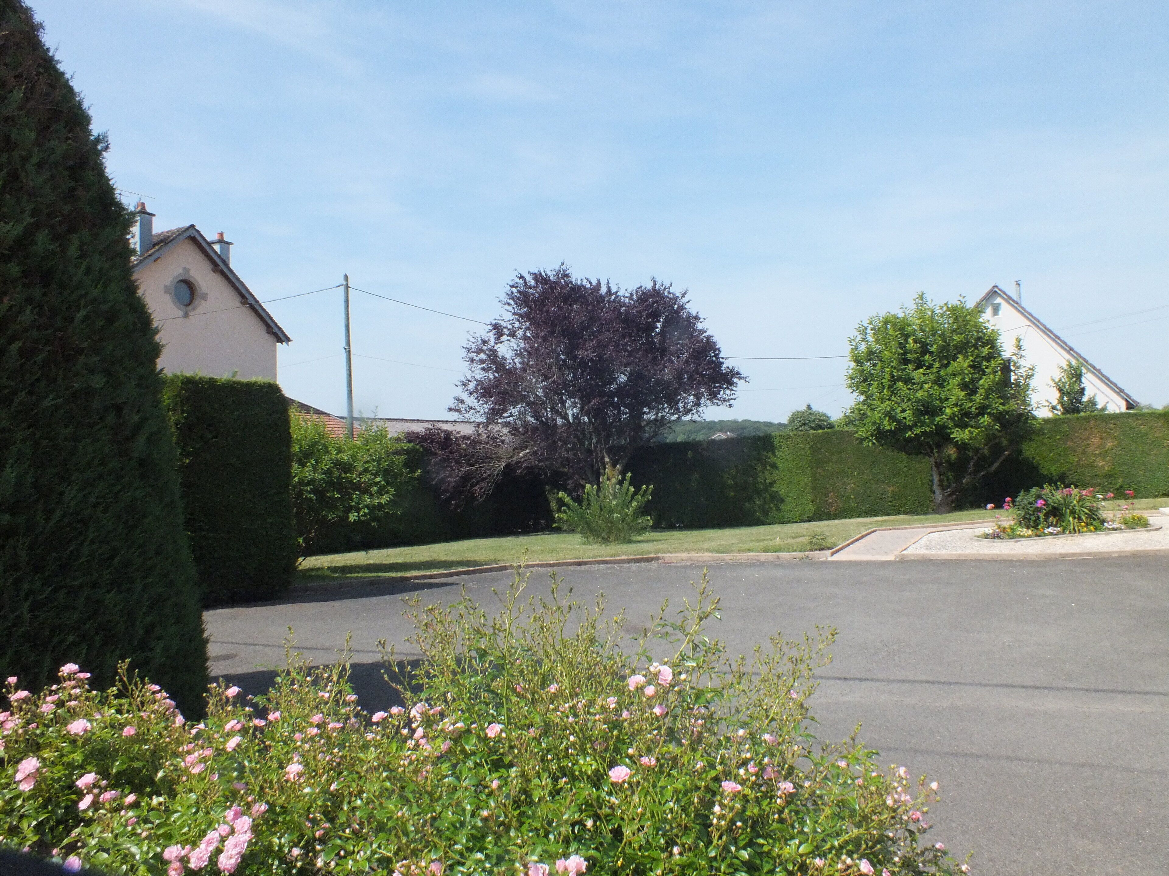 Una calle residencial con casas, un árbol y un macizo de flores.
