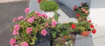 Maison Calme, au Cœur D'une Campagne Verdoyante