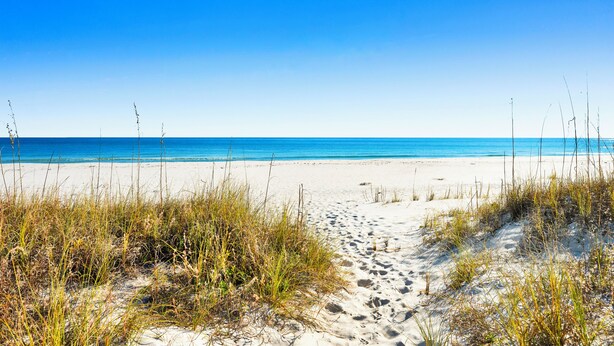 Ein Strand mit blauem Himmel, sandigem Weg und spärlicher Vegetation.