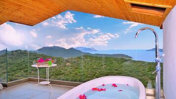 Combined shower/tub, hair dryer, towels, toilet paper