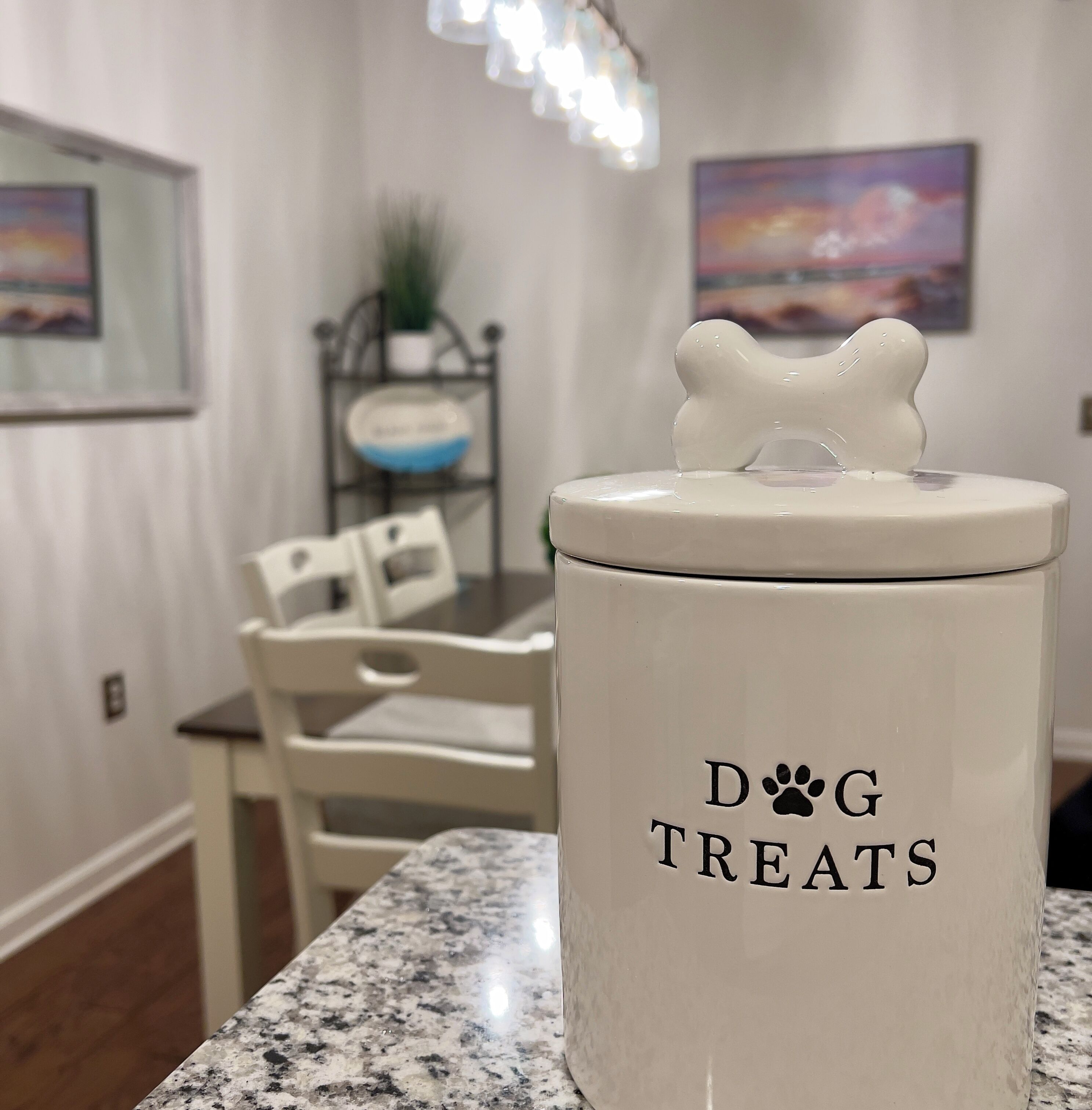 A kitchen counter with a white ceramic container labeled "DOG TREATS".