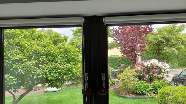 A view through a window with a view of a garden, including a lawn, trees, and a car parked outside.