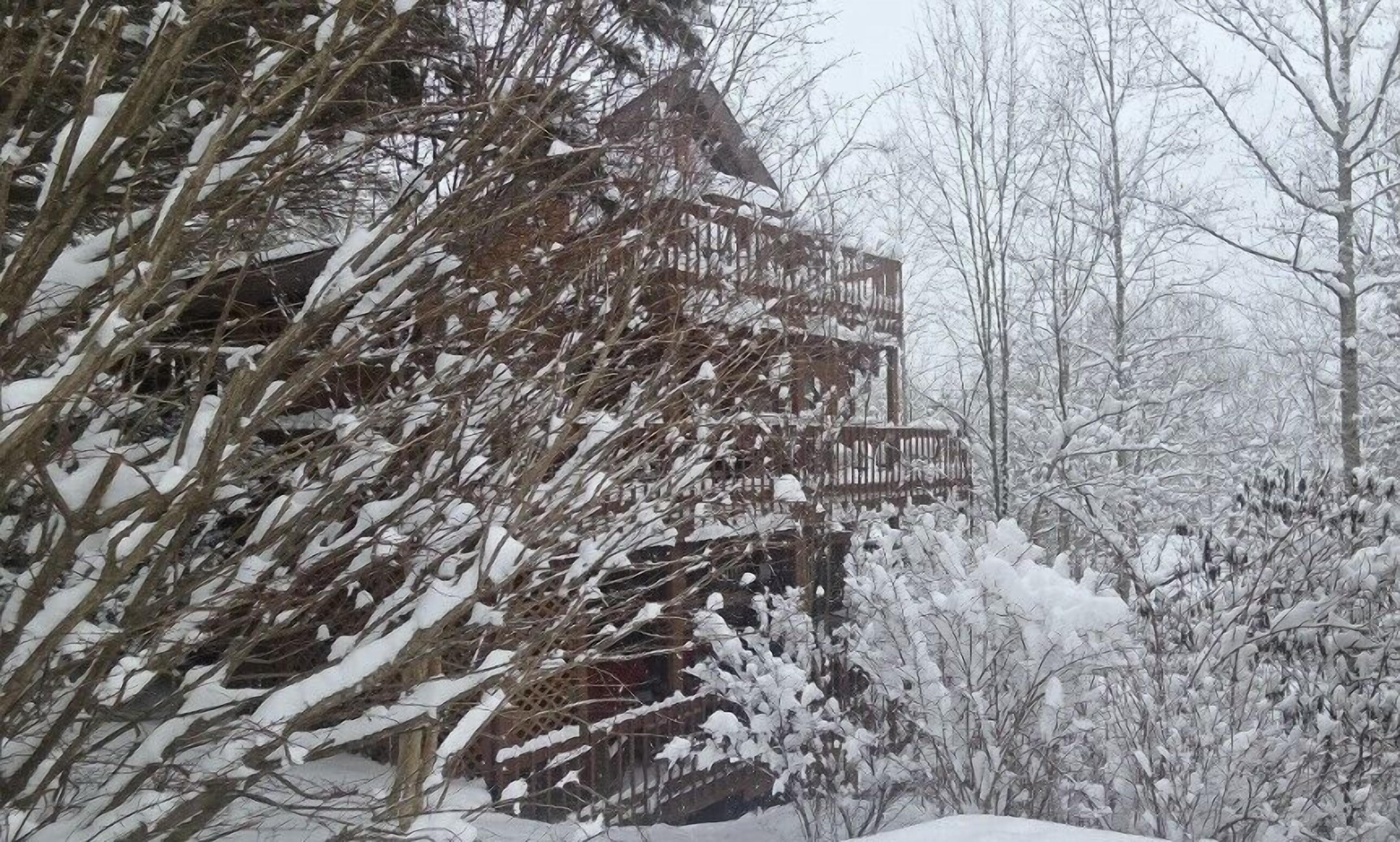 Une cabane en bois dotée d’un balcon, entourée d’arbres et d’arbustes couverts de neige.