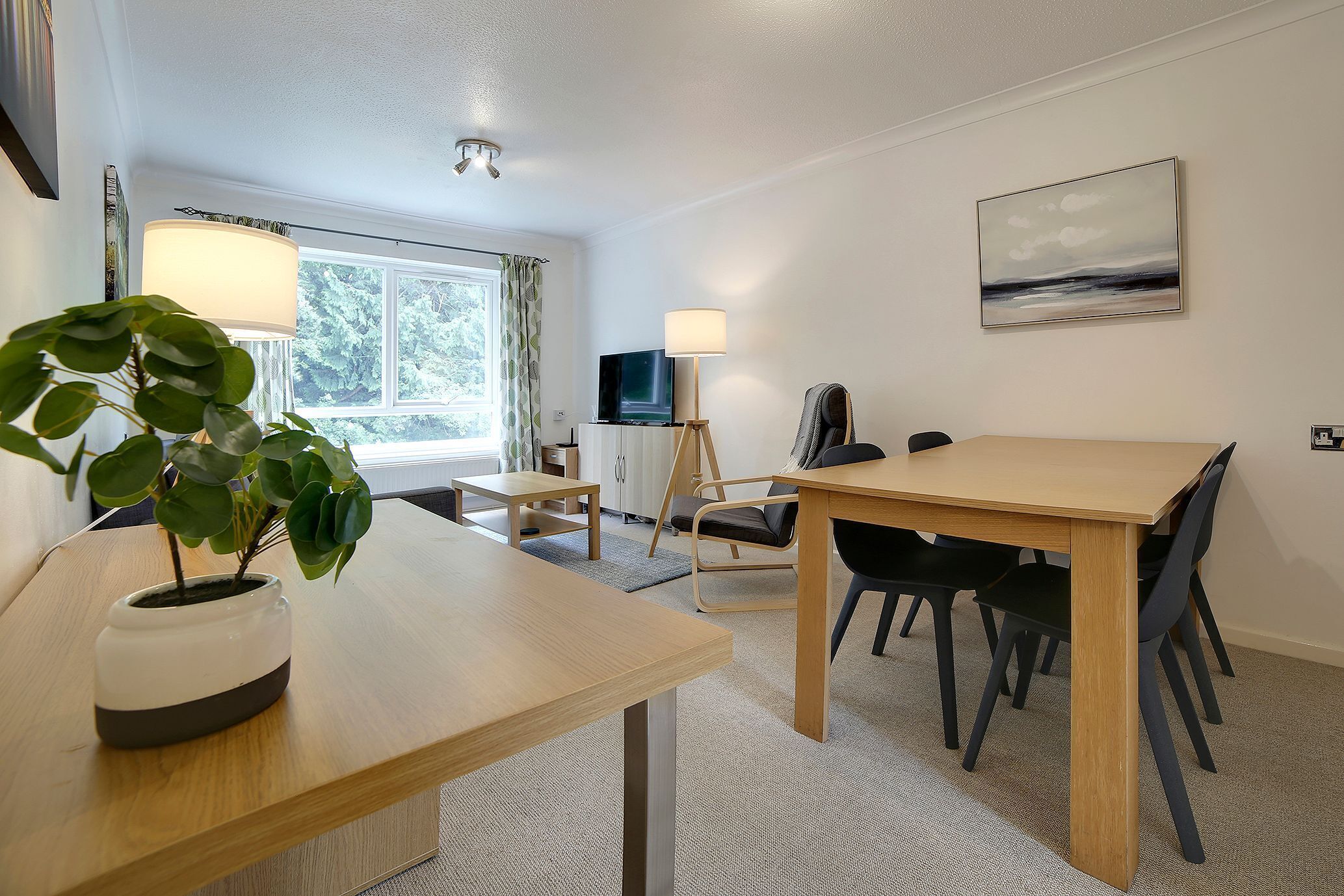 A modern room with a wooden table, black chairs, a potted plant, a standing lamp, a TV, and a painting on the wall.