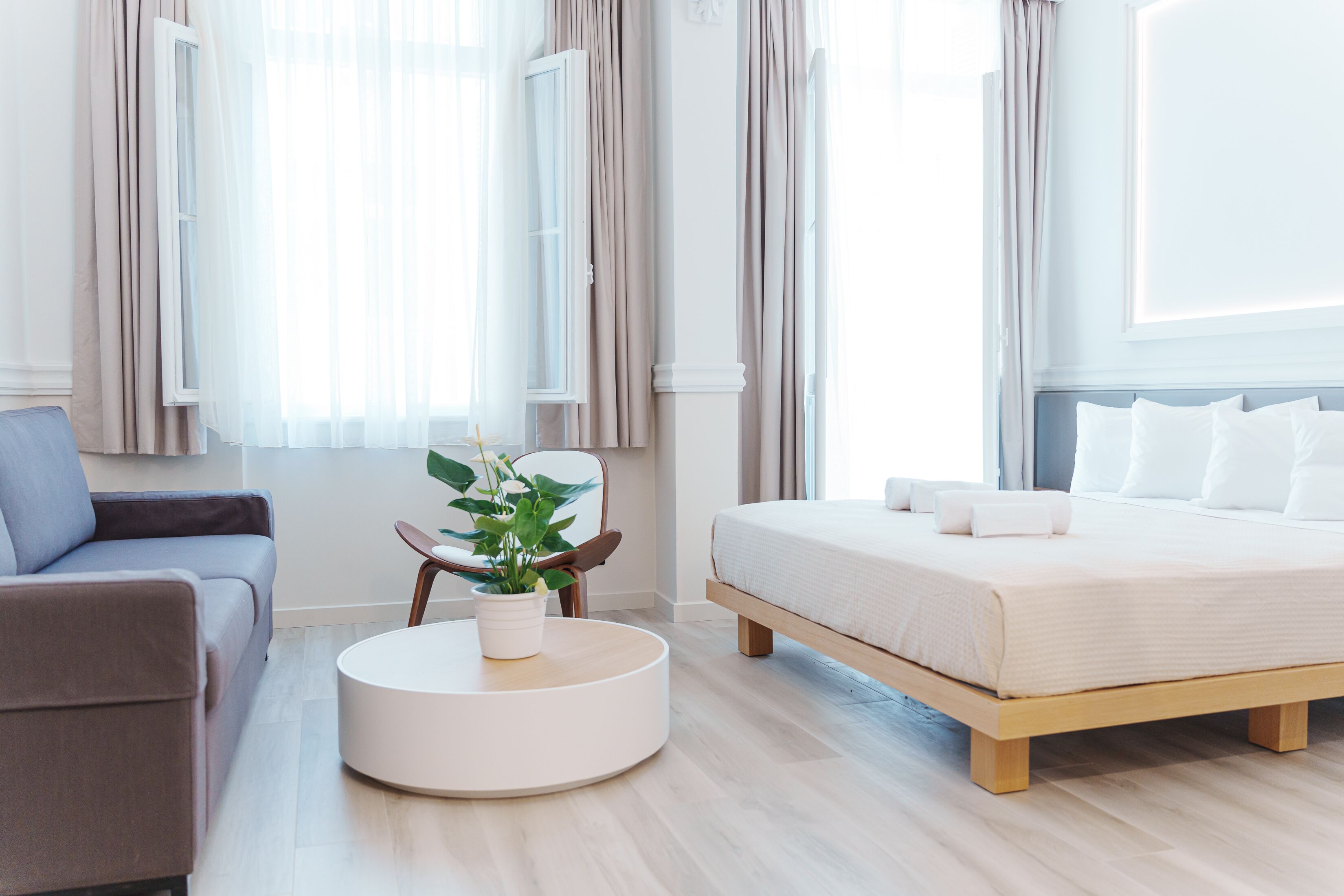 Ein modernes Hotelzimmer mit einem Bett, einer Couch, einem runden Couchtisch und einer Topfpflanze.