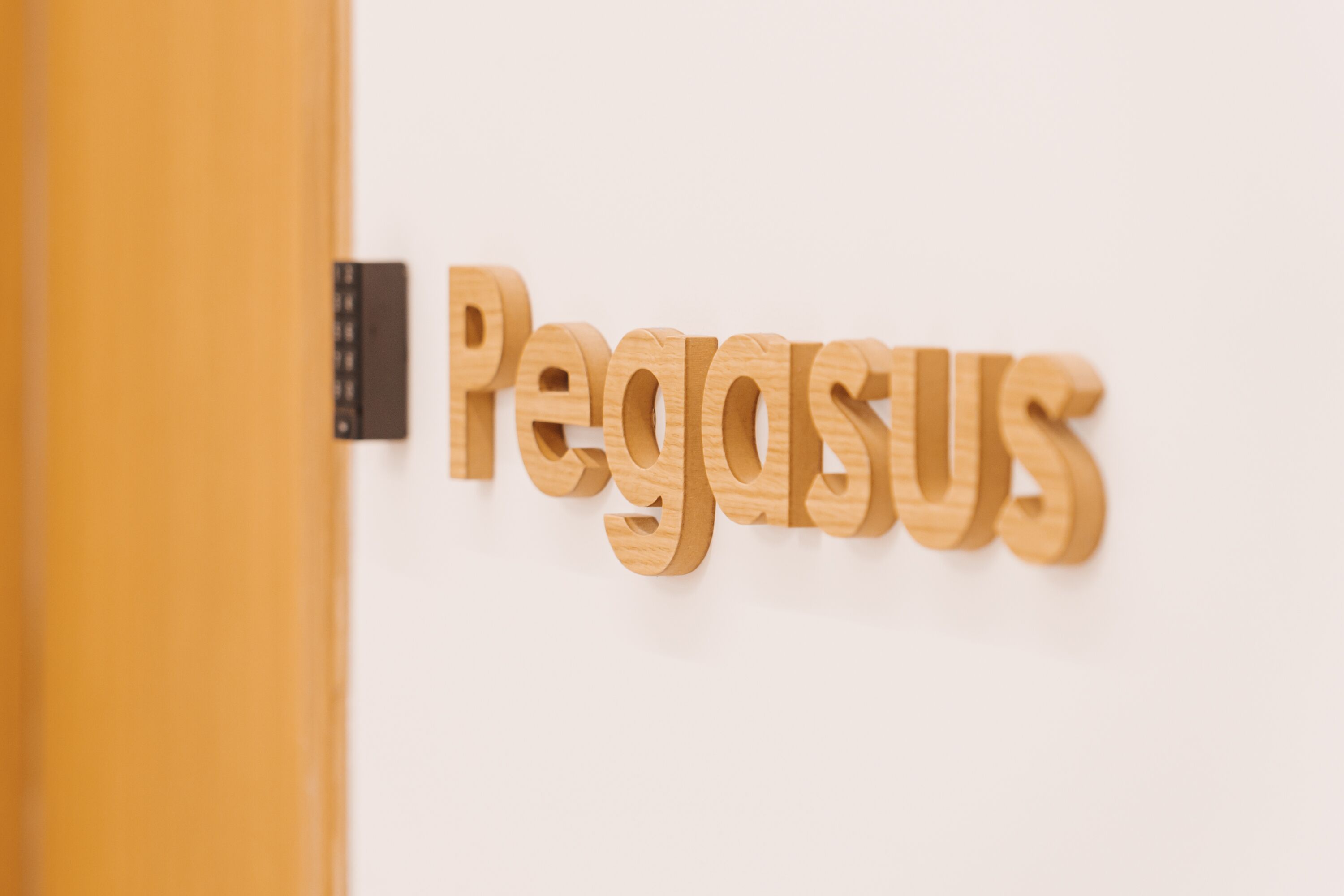 Une enseigne en bois portant le mot « Pegasus » est fixée à un mur.