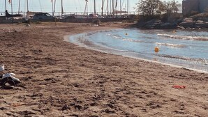 A sandy beach with sailboats docked in the background. - Giorgio's Dream (Chiavari)