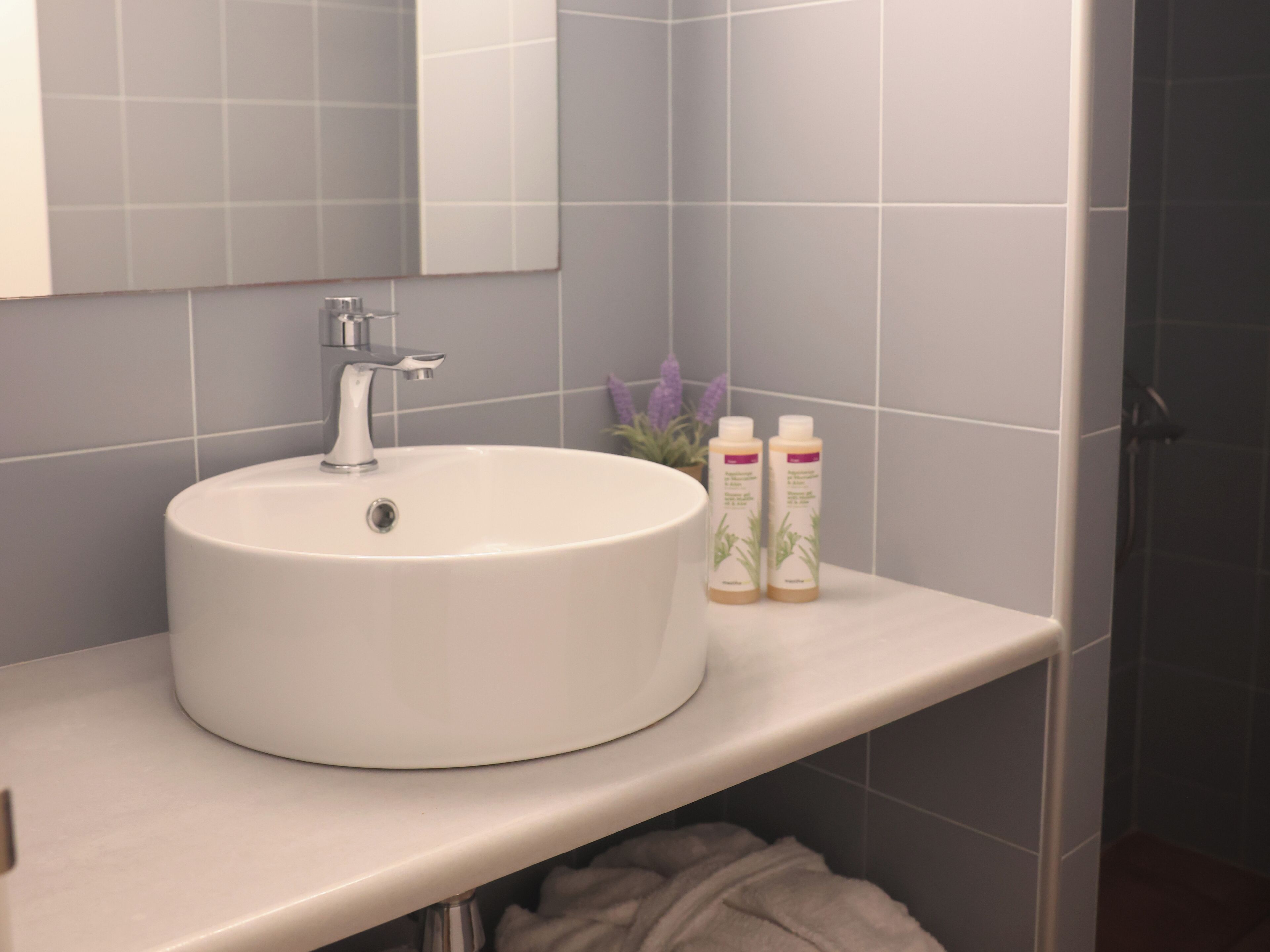 A bathroom with a white sink, a mirror, and two bottles of shampoo on the countertop.