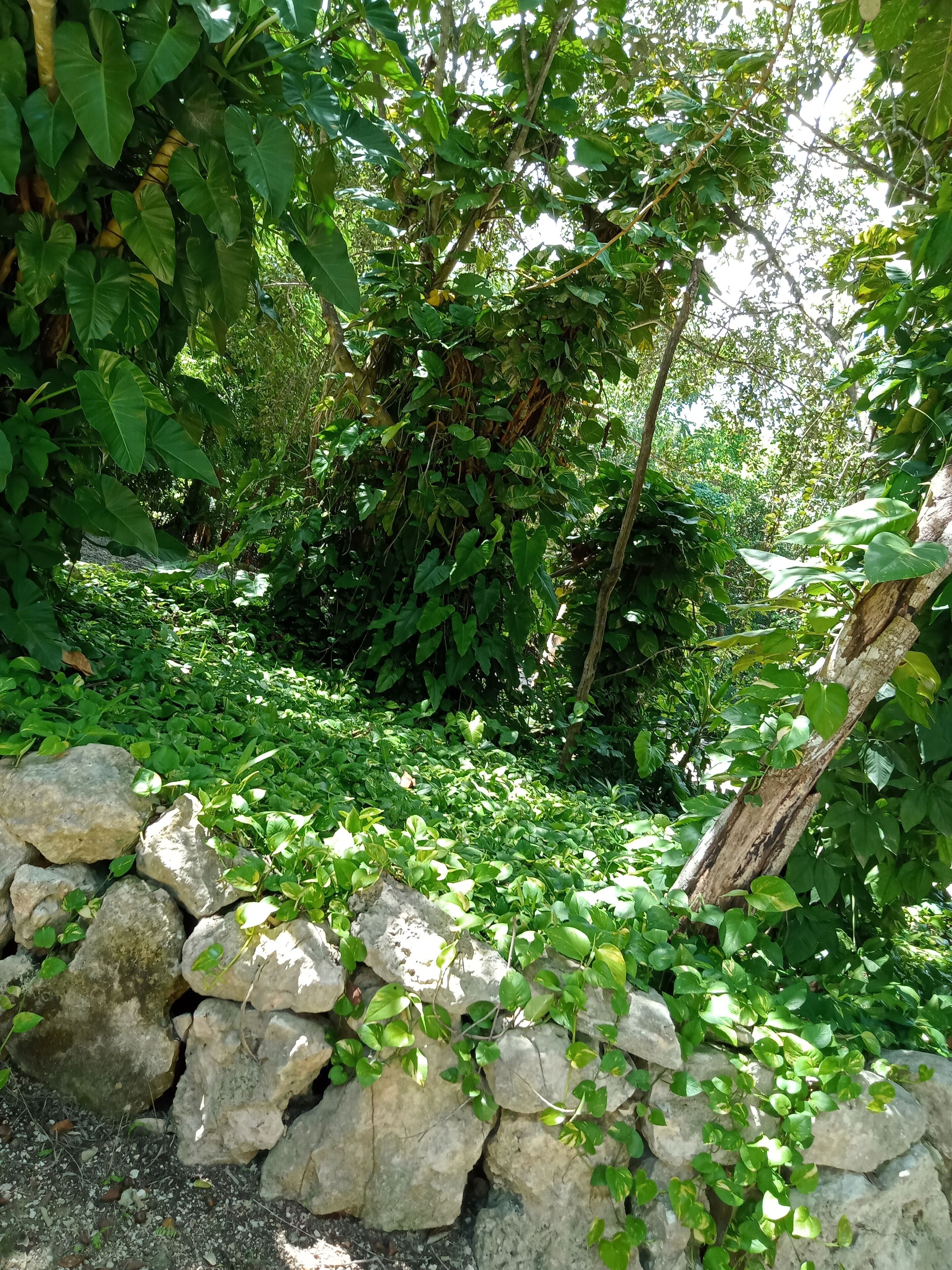 Photo - Kuha Glamping