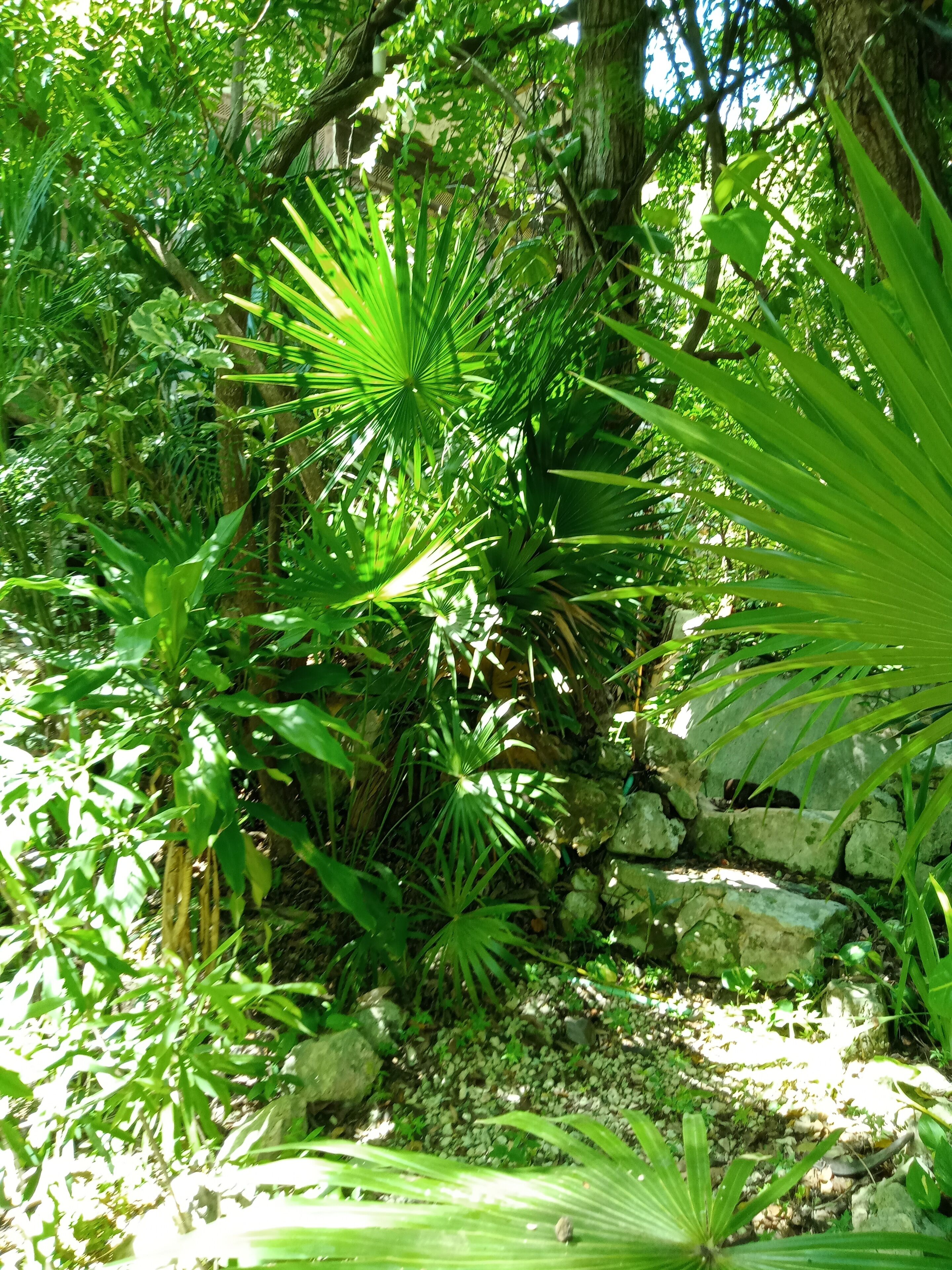 Photo - Kuha Glamping