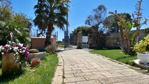A paved pathway leading to a gated entrance with a stone wall and a palm tree. - La Vigna Salentina - Garden and Private Pool (Alessano)