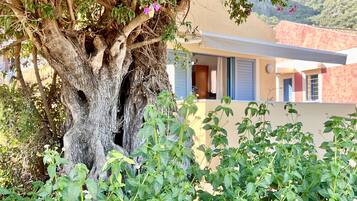 DĂ©tail de lâextĂ©rieur