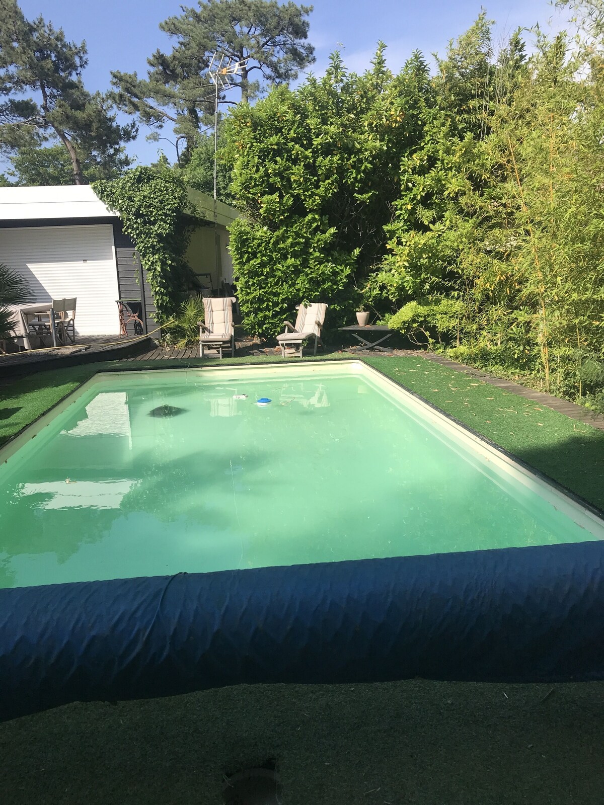 Bild für Gastgeberprofil